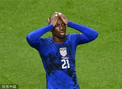 法兰克福足球俱乐部阵容